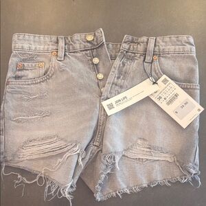 Zara Stylish Gray Frayed Denim Shorts